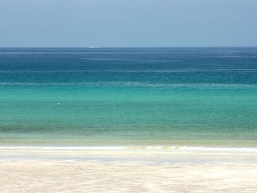 2009_0.jpg