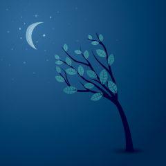 月と木の真夜中の会話　ベクター素材