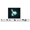 28_0.png